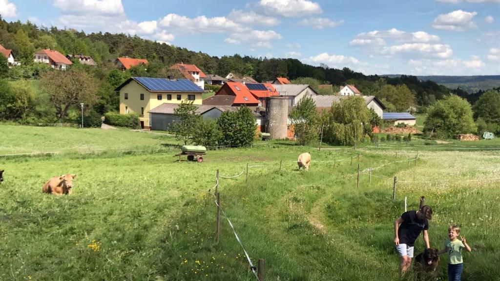 Ferienwohnungen Elsbacher Hof Erbach  Ngoại thất bức ảnh